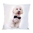 Almofada Digital Maltes 42x42 Colorido Alm-an-29 Uniart