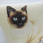 Almofada Gato Siames