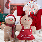 Almofada Gingebella 52x37cm