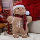 Almofada Gingebelli 52x37cm