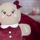 Almofada Gingerlina 26x33cm