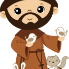 Almofada Naninha São Francisco De Assis [f101]