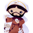 Almofada Naninha São Francisco De Assis [f101]
