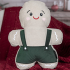 Almofada Natalina Ginger Bem Jr. C/ Bordado E Aplicação 26x33