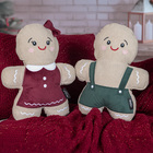 Almofada Natalina Ginger Bem Jr. C/ Bordado E Aplicação 26x33