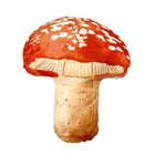 Almofada Natureza Poliéster Belchior 40x40cm