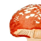 Almofada Natureza Poliéster Belchior 40x40cm