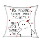 Almofada Pessoas Chatas