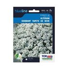 Alyssum Tapete De Neve (bl) 2g Topseed Quantidade:kit 10 Unid