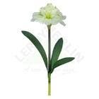 Amarilis Creme 67cm Florarte