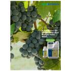 Amino Peixe Fruit Fertilizante P/ Frutíferas Agrooceânica 1l