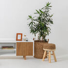 Ampulheta Mostarda Em Vidro 13132 Mart