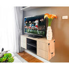 Antena Digital Interna Aquário Invisível Tipo Y Preta Dtv-300