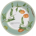 Aparelho De Jantar 12 Pçs Uvaia