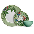 Aparelho De Jantar 12 Peças Birds-alleanza - Decorado