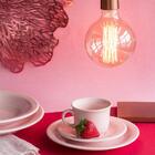 Aparelho De Jantar 20 Peças Floreal Milenial - Oxford - Rosa