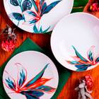 Aparelho De Jantar 30 Peças Porcelana Tropical Germer