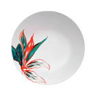 Aparelho De Jantar 30 Peças Porcelana Tropical Germer