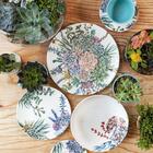 Aparelho De Jantar Bothanica 30 Peças - Oxford