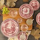 Aparelho De Jantar/chá Oxford 20 Peças Vilarejo Ae20-5188