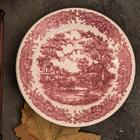 Aparelho De Jantar E Chá 30 Peças Donna Vilarejo