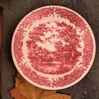 Aparelho De Jantar Vilarejo 20 Pecas - Oxford