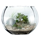 Aquário De Vidro Rigado, Terrario Para Suculentas, Vaso Para