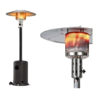 Aquecedor A Gas Aço Inox Externo Interno Estilo Chapeu