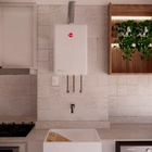 Aquecedor A Gás Digital 35 L / Min - Rheem Tipo De Gás:gn