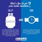 Aquecedor De Água A Gás Rinnai 43 Litros - E43 Fea Bivolt Aut