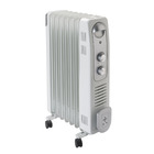 Aquecedor Óleo 1500W 220V Equation