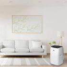 Ar Condicionado Portátil Delonghi Pinguino 12000 Btus Frio 12