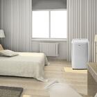 Ar-condicionado Portátil Philco Pac12000f5 Frio 220v