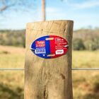 Arame Liso Ovalado Z700 - 3 00x2 40 Mm - 500 Metros