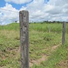 Arame Ovalado Pantanal 15 X 17 Rolo Com 1.000 Metros - Morlan