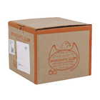 Arandela Dourada Dreams Bronzearte