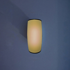 Arandela Externa Com LED Amarelo Inspire 23,6x9x12,3cm Preto Bivolt