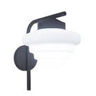 Arandela Helena Blumenau Preto Liso