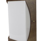 Arandela Madeira/acrílico Curva Imbuia 20cm Led 5w 3000k Made