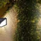 Arandela Solar Externa Com Sensor De Presença Ip65 100 Leds B