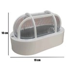 Arandela Tartaruga Oval Branca Utron