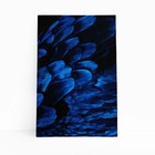 Arara Penas Azuis Asas Aves Animais Quadro Canvas 120x80cm