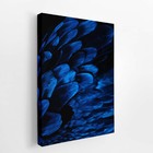 Arara Penas Azuis Asas Aves Animais Quadro Canvas 140x90cm