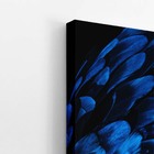 Arara Penas Azuis Asas Aves Animais Quadro Canvas 140x90cm