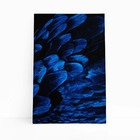 Arara Penas Azuis Asas Aves Animais Quadro Canvas 140x90cm