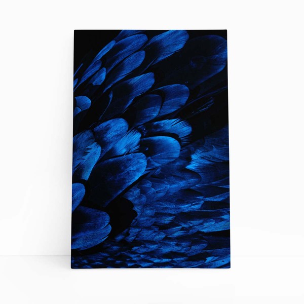 Arara Penas Azuis Asas Aves Animais Quadro Canvas 140x90cm