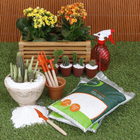 Areia Dolomita Branca 2,5Kg Geolia