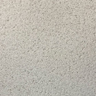 Arenatto Fino Pittore 25kg - Branco