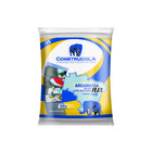 Argamassa ACII Flex Cinza 20kg Construcola