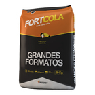 Argamassa ACII Grandes Formatos 20Kg Fortcola